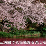 三溪園で夜桜撮影を楽しむための初心者向けガイドと撮影マナー