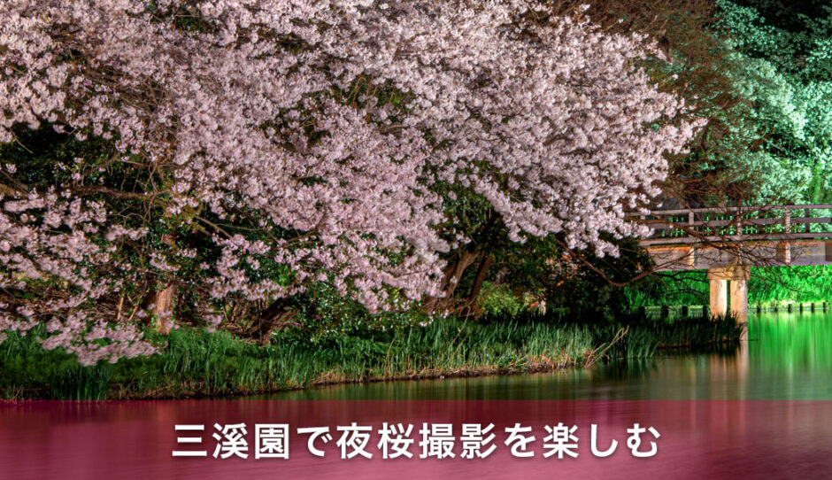 三溪園で夜桜撮影を楽しむための初心者向けガイドと撮影マナー