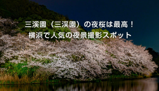 三溪園（三渓園）の夜桜は最高！横浜で人気の夜景撮影スポット
