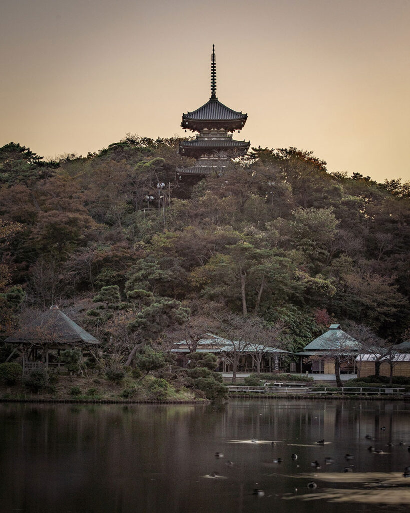 夕暮れの三溪園