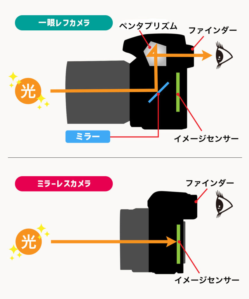 ミラーレスと一眼レフの違い