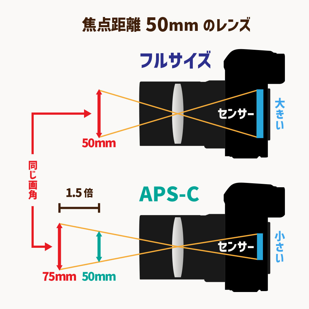 焦点距離とセンサーサイズの関係　センサーの違い