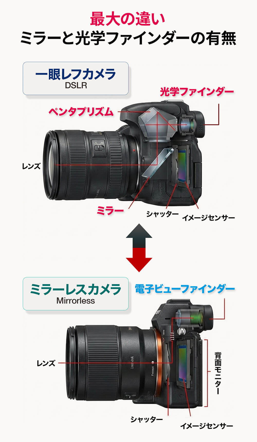 一眼レフとミラーレスの構造の違い