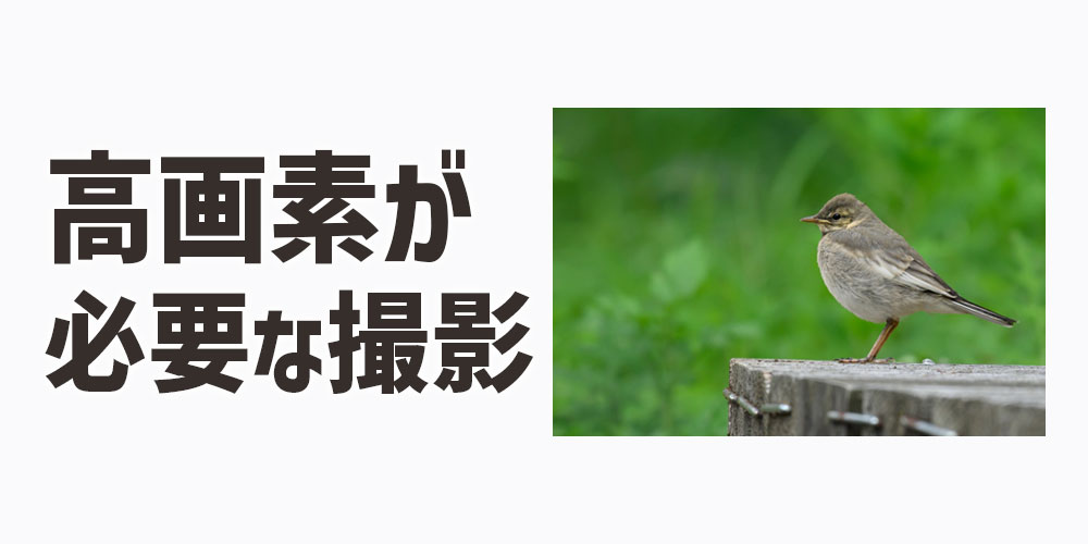 高画素が必要になる撮影シーン