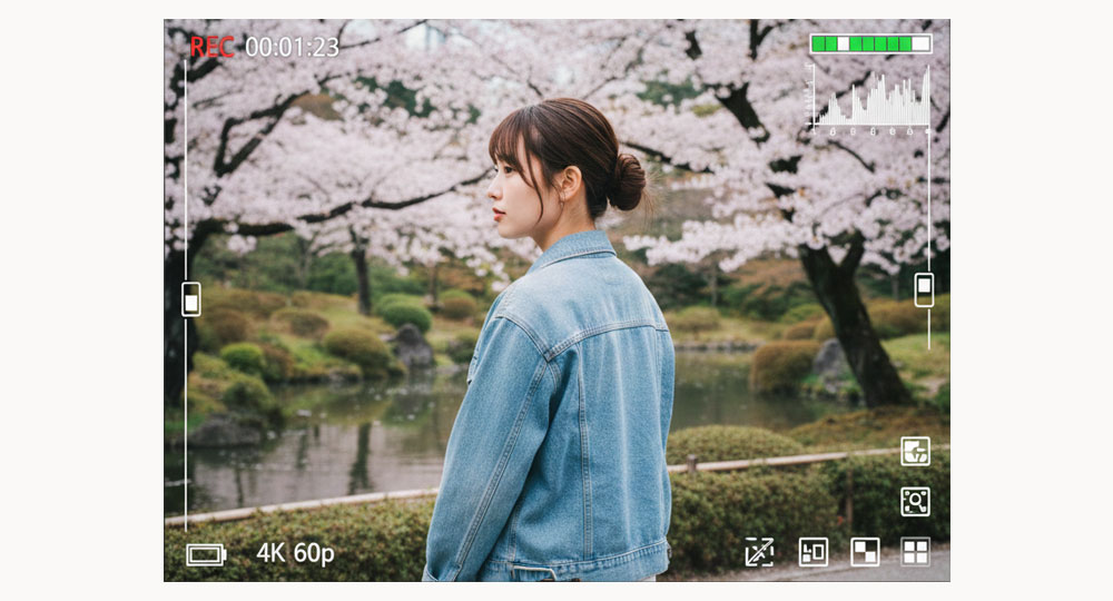 動画撮影での高画素カメラのメリット