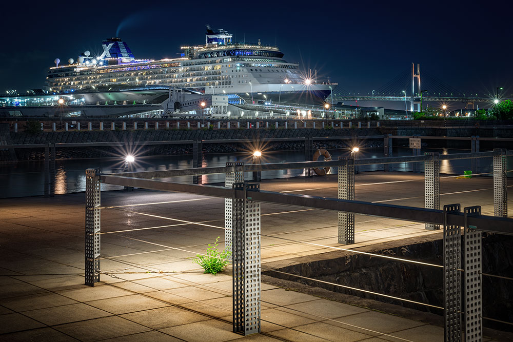 象の鼻パークで静かに楽しむ夜景スポット！横浜港の景色を独り占め