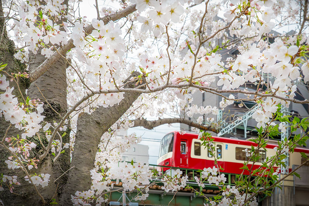 動きの速い被写体を撮影する際のISO感度設定