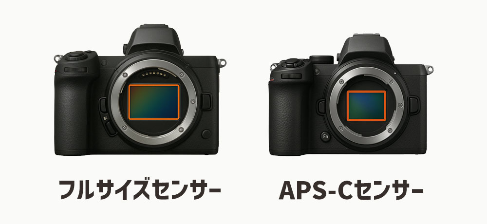 センサーサイズと被写界深度の関係:フルサイズ vs APS-C
