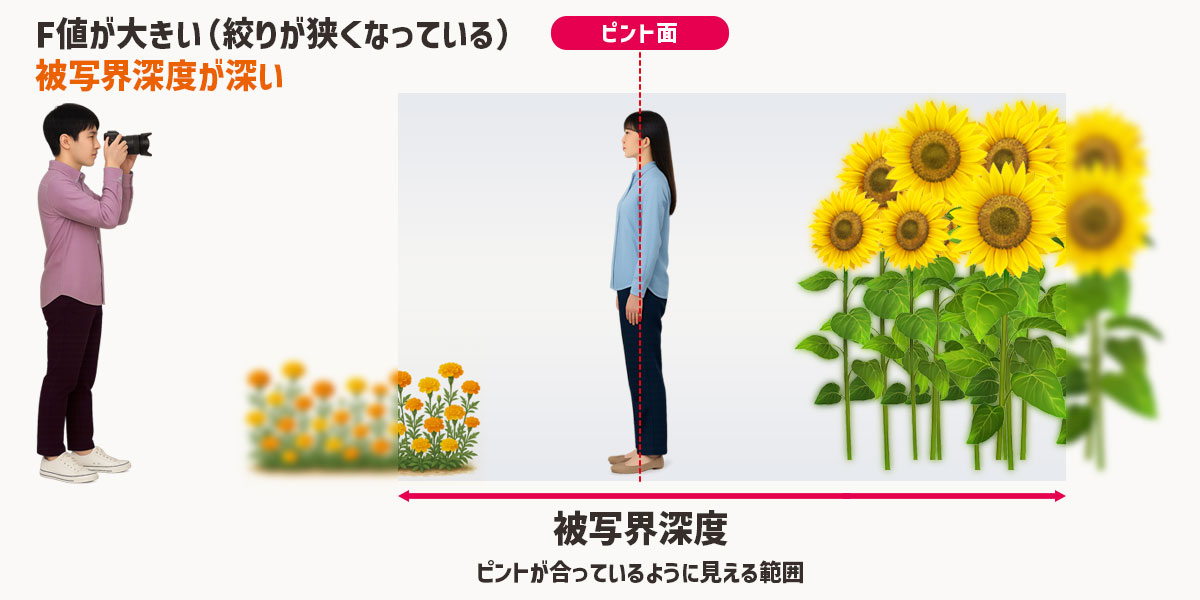 被写界深度が「深い」とは、カメラのピントが合って見える範囲が広くなる状態を指します。