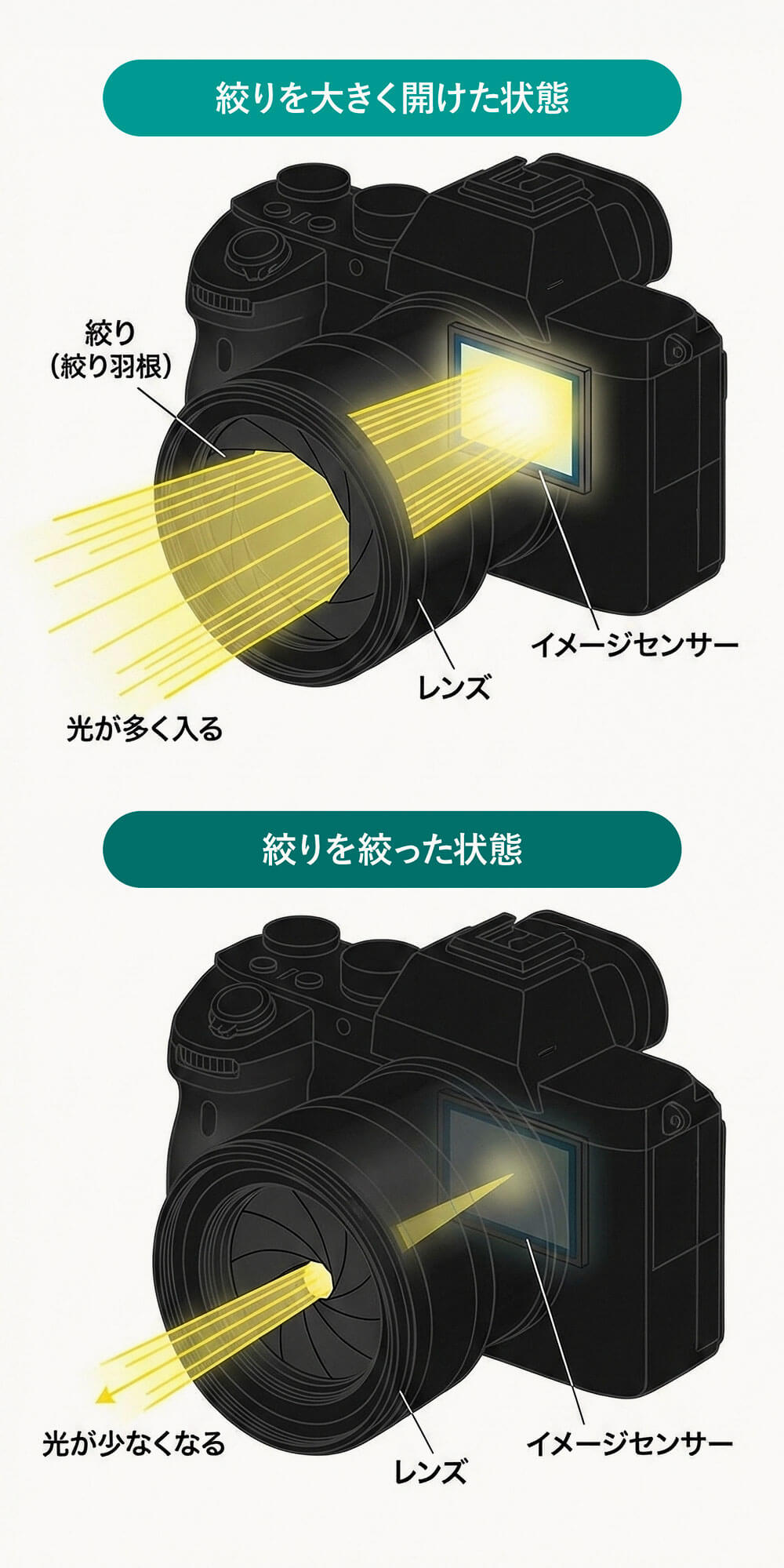 初心者でもわかるF値の基礎知識